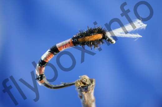 Morgan's Orange Buzzer